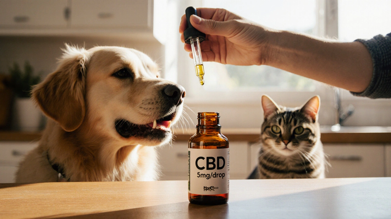 Kolik kapek CBD by měl dostat váš mazlíček?
